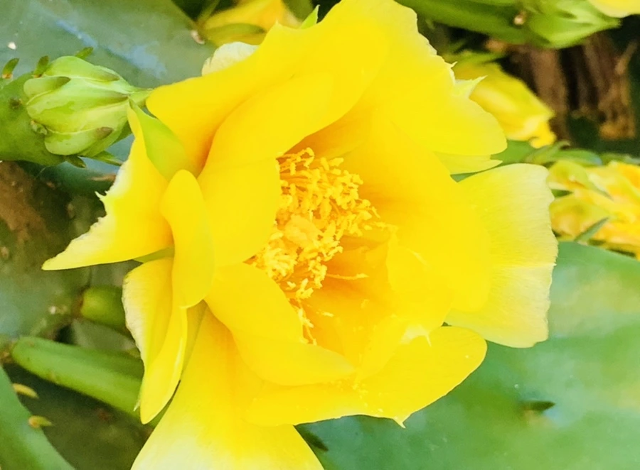 IMG_4360.jpg?type=w966