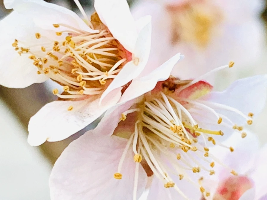 IMG_2283.jpg?type=w966