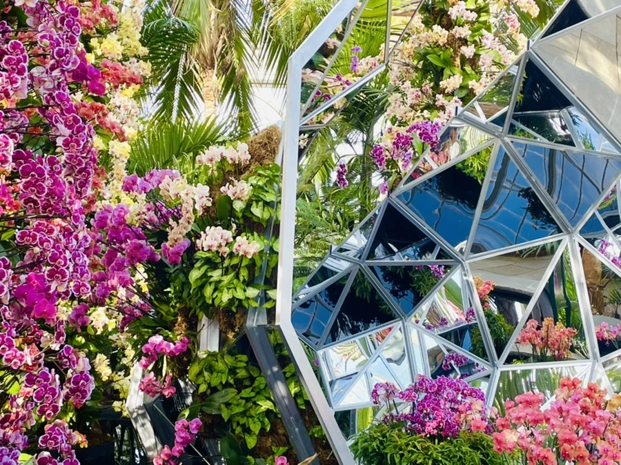 IMG_4438.jpg?type=w966