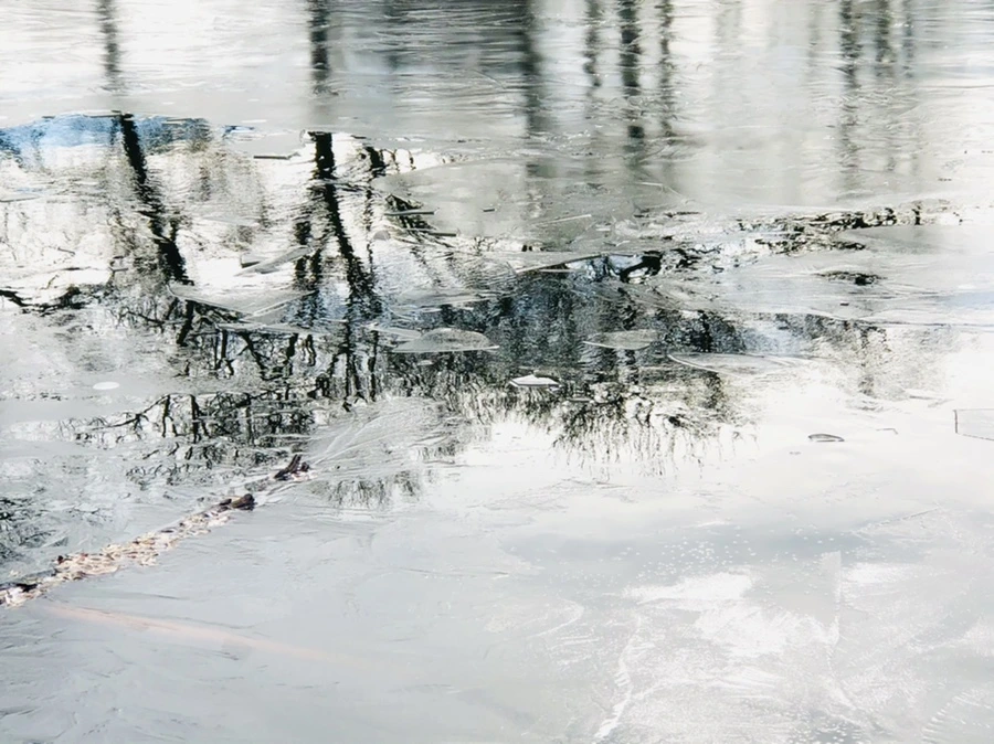 IMG_4785.jpg?type=w966