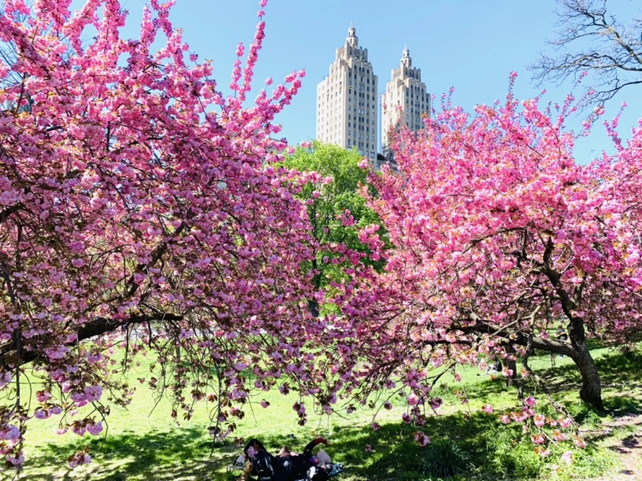 IMG_5930.jpg?type=w966