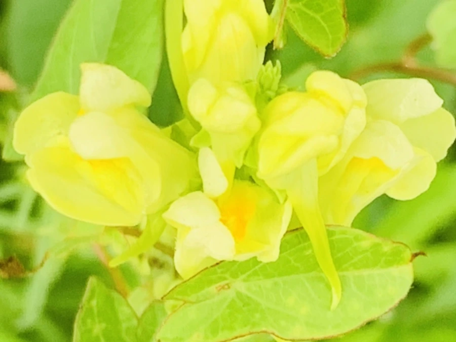 IMG_3768.jpg?type=w966