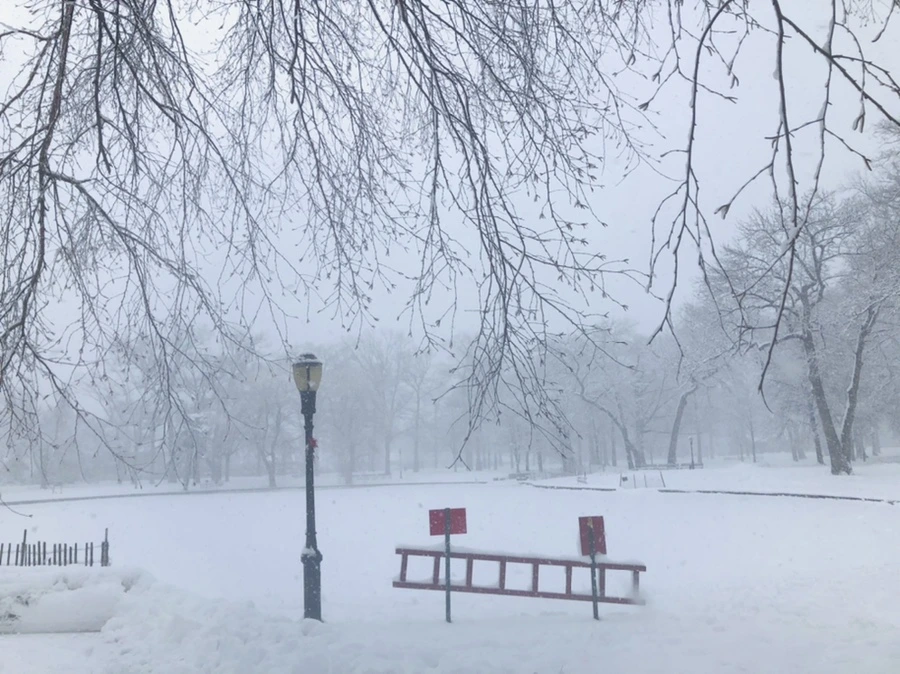 IMG_1096.jpg?type=w966