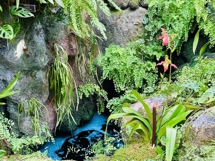 IMG_4482.jpg?type=w966