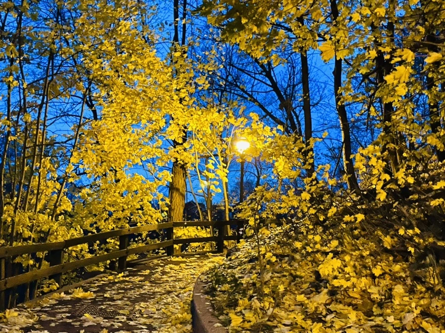 IMG_6528.jpg?type=w966