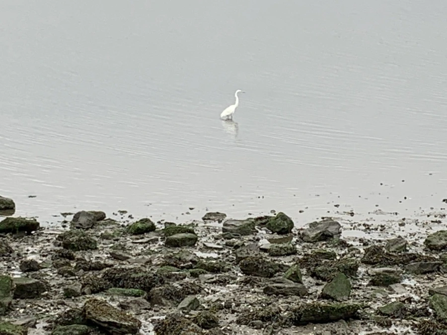 IMG_3641.jpg?type=w966