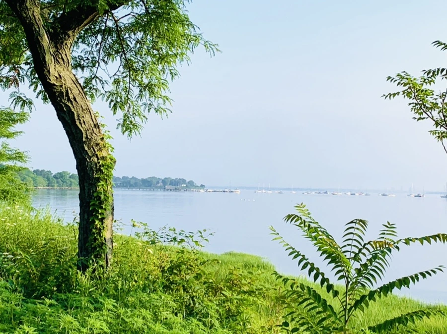 IMG_6472.jpg?type=w966