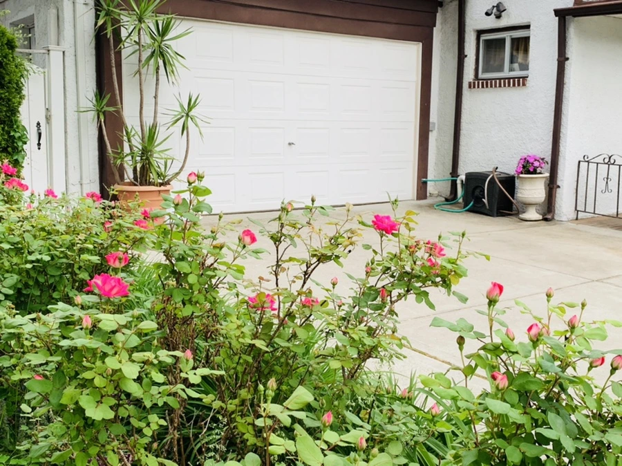 IMG_5471.jpg?type=w966