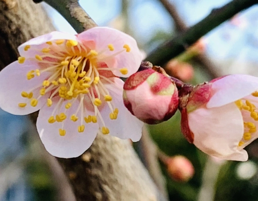 IMG_0267.jpg?type=w966