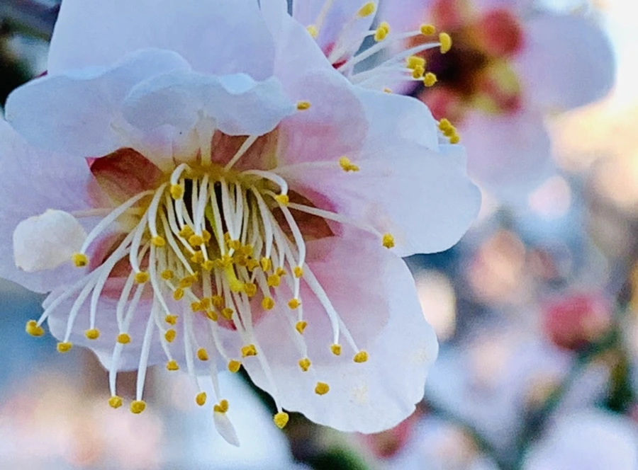 IMG_0777.jpg?type=w966