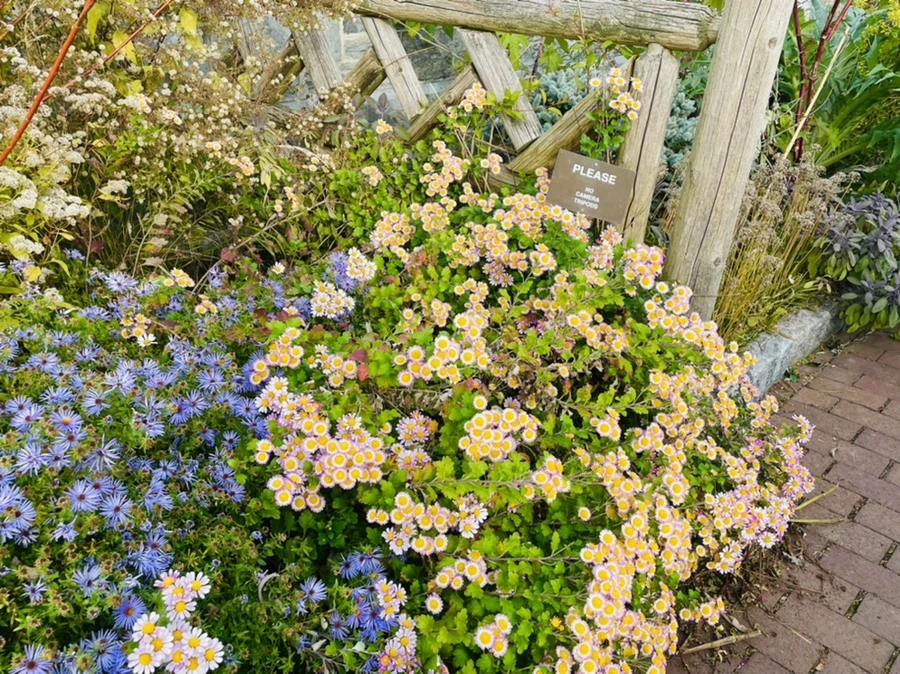 IMG_2408.jpg?type=w966