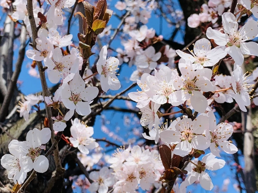 IMG_7686.jpg?type=w966