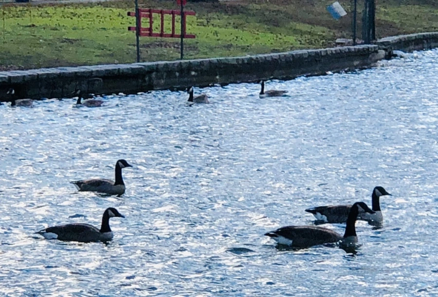 IMG_9206.jpg?type=w966