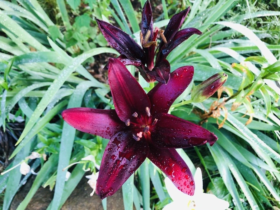 vN6xtfAkKS8LyKbGSi_vqD44jd4