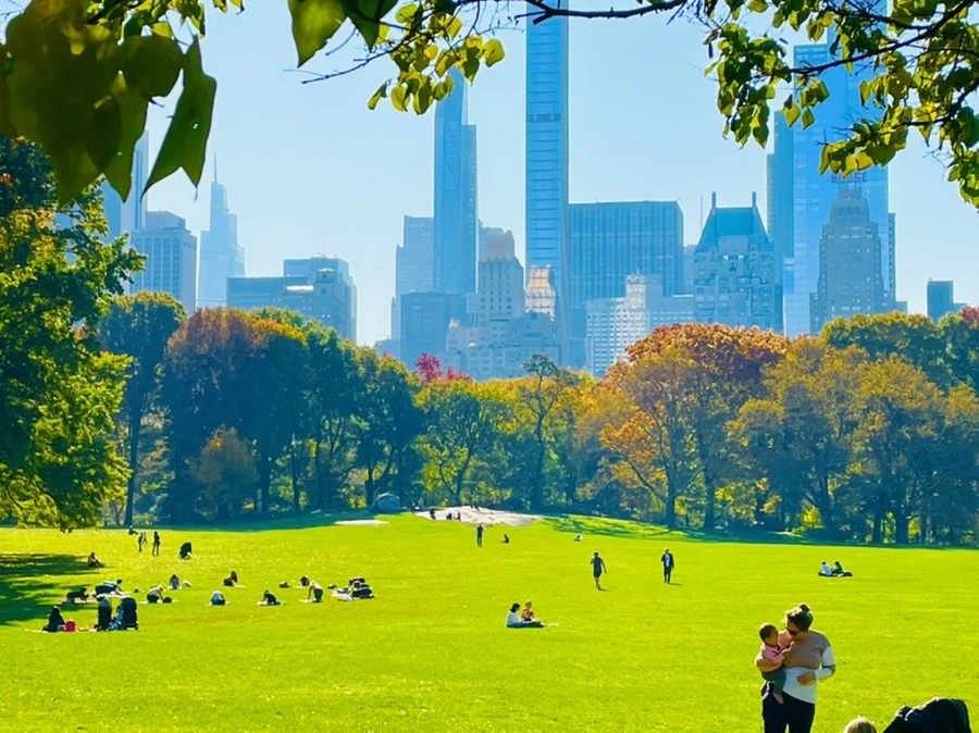 IMG_1694.jpg?type=w966