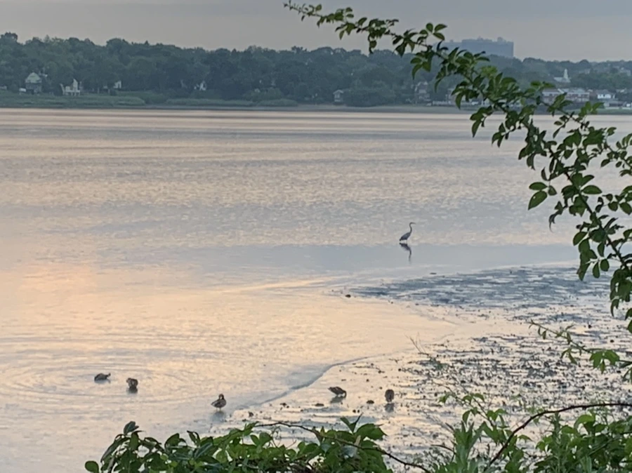 IMG_0243.jpg?type=w966