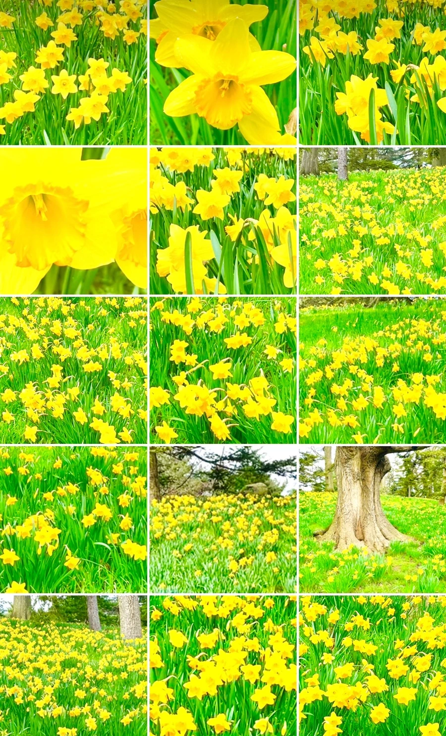 IMG_7598.jpg?type=w966