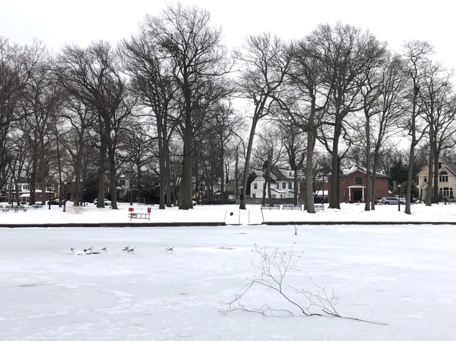 IMG_4312.jpg?type=w966