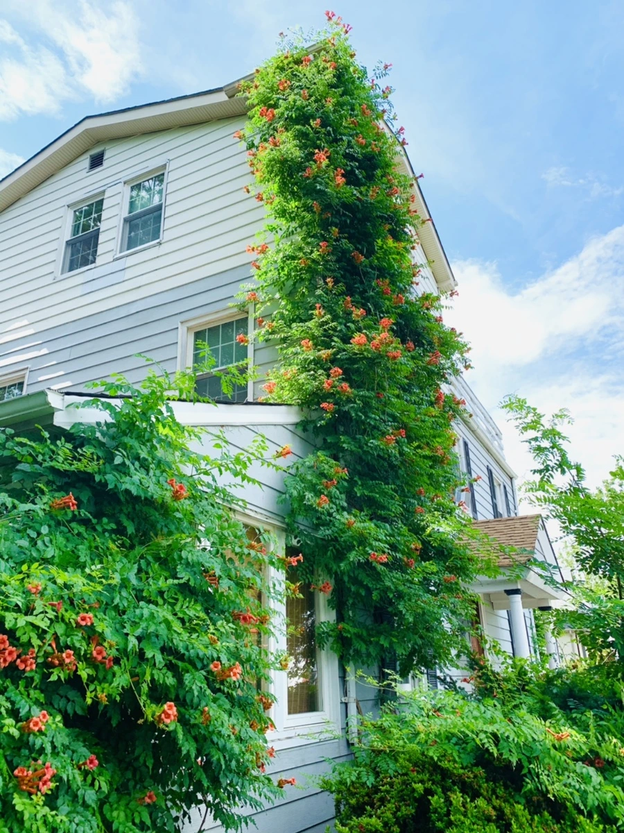 IMG_9616.jpg?type=w966