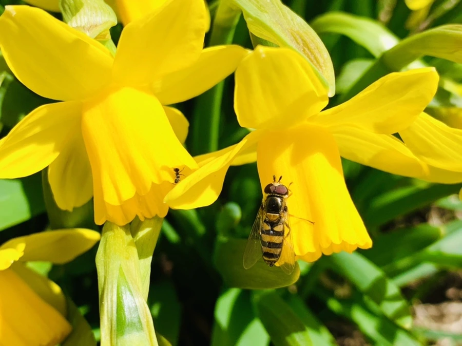 IMG_3274.jpg?type=w966