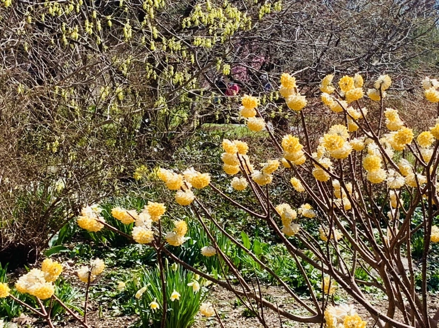 IMG_5800.jpg?type=w966