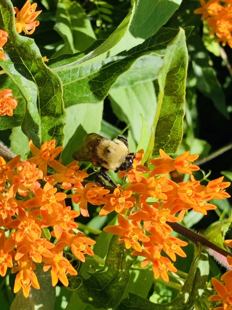 IMG_4694.jpg?type=w966