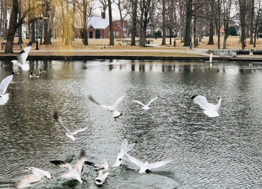 IMG_3263.jpg?type=w966