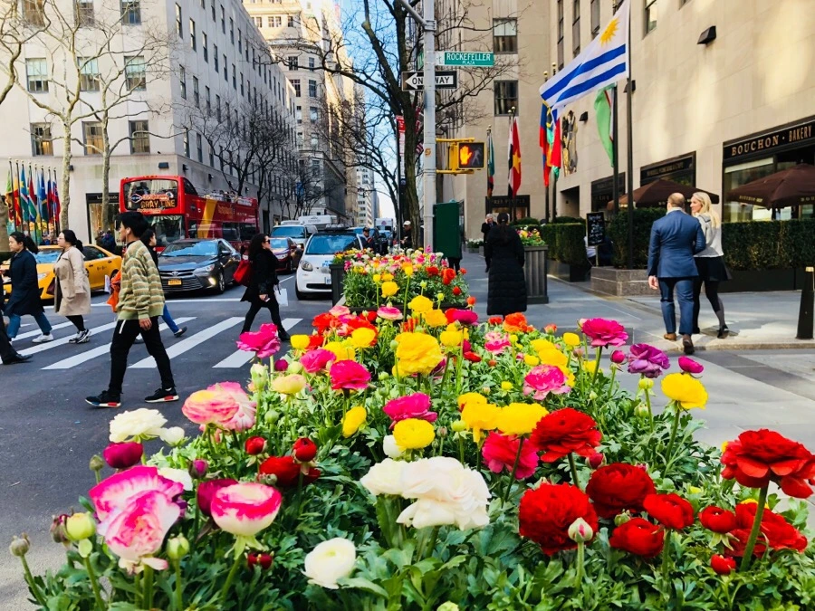 IMG_4482.jpg?type=w966