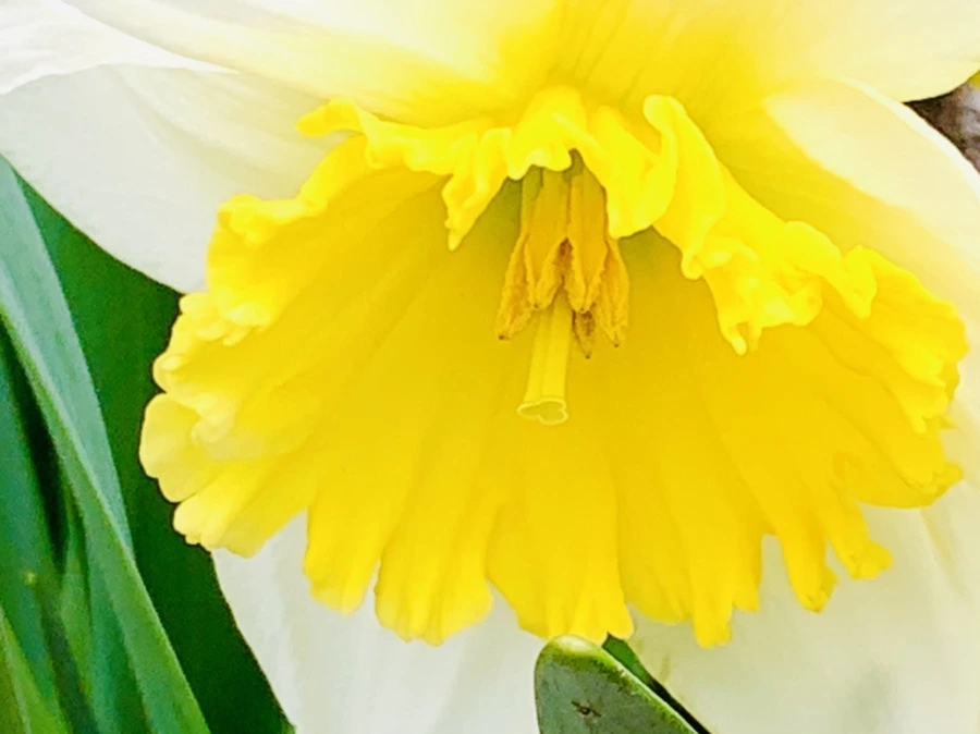 IMG_3687.jpg?type=w966