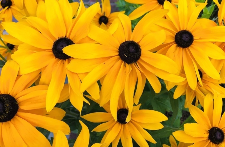 wu3h_24_8p9pY56D-MBSzlz6iIE