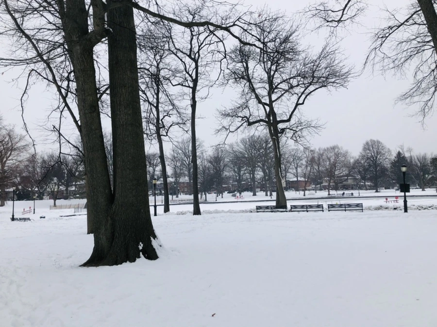 IMG_1554.jpg?type=w966