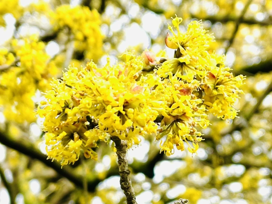 IMG_7504.jpg?type=w966