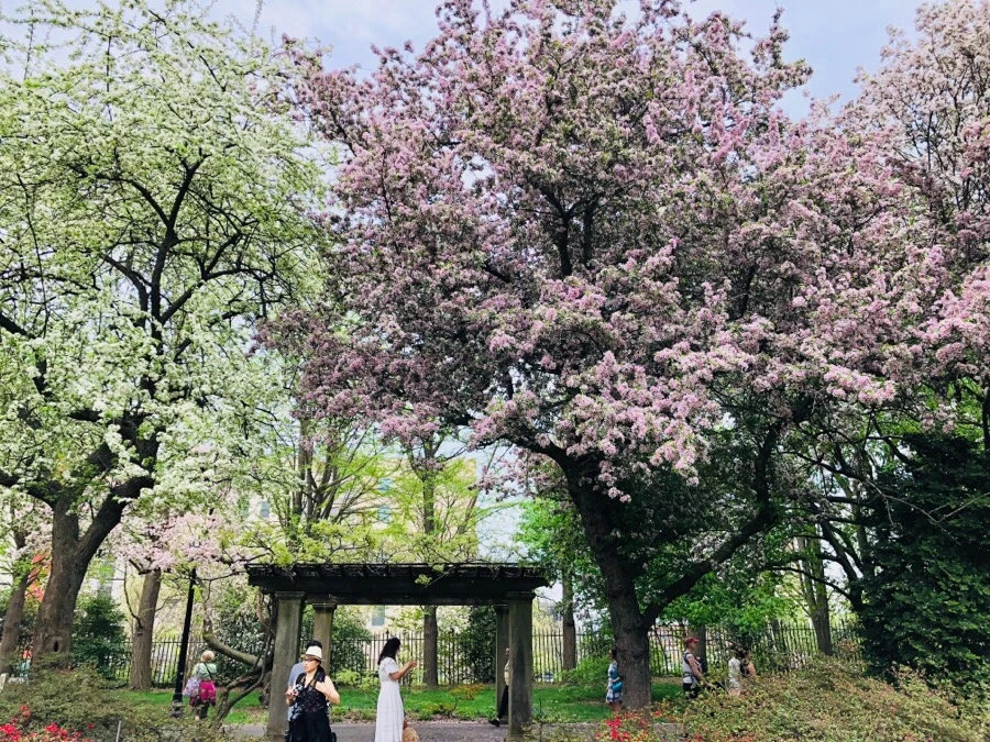 IMG_5437.jpg?type=w966