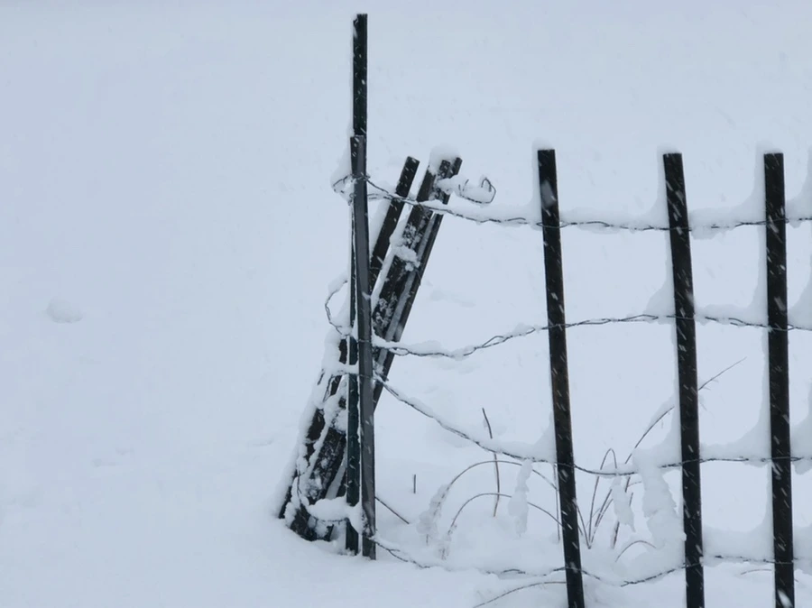 IMG_1092.jpg?type=w966