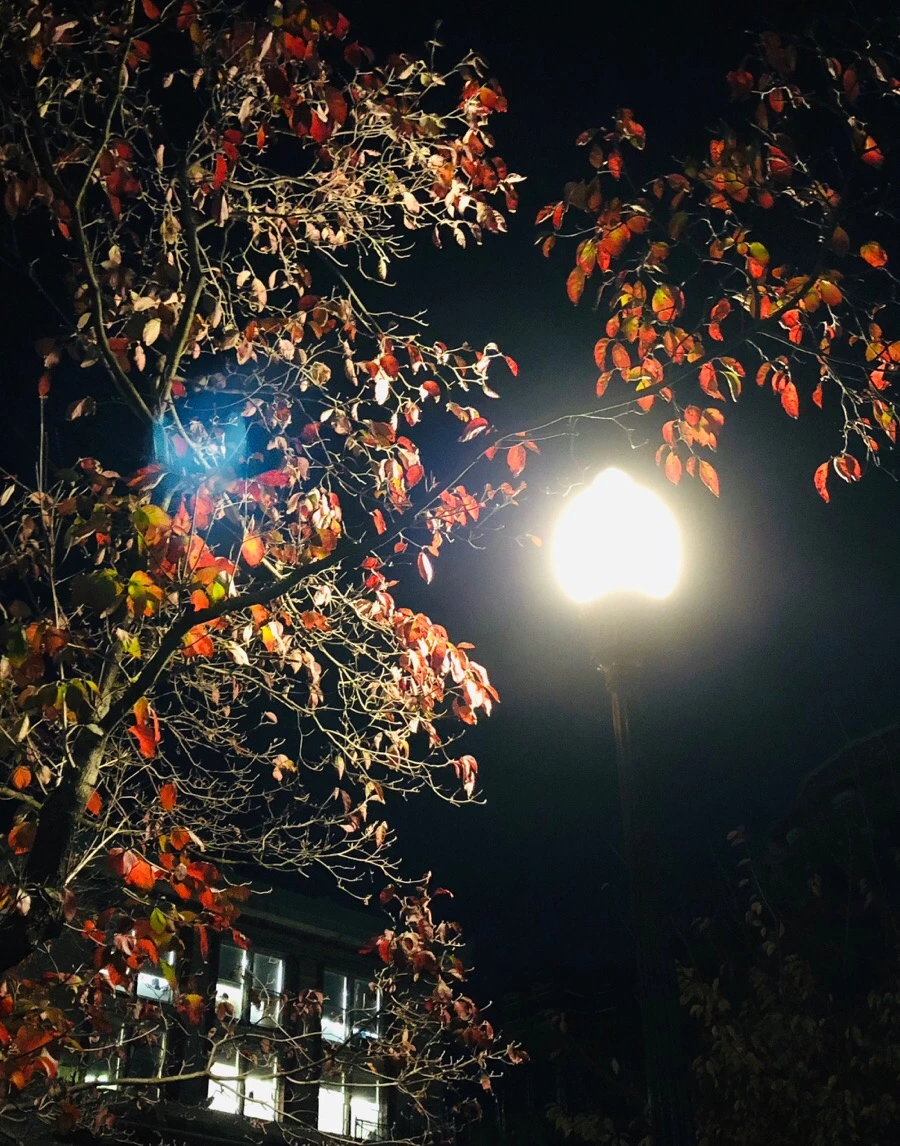 IMG_7642.jpg?type=w966