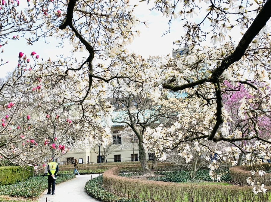 IMG_7282.jpg?type=w966