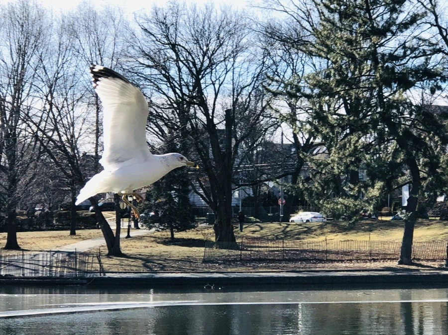 IMG_5335.jpg?type=w966