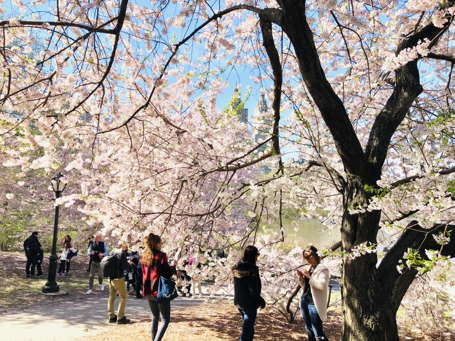 IMG_3140.jpg?type=w966