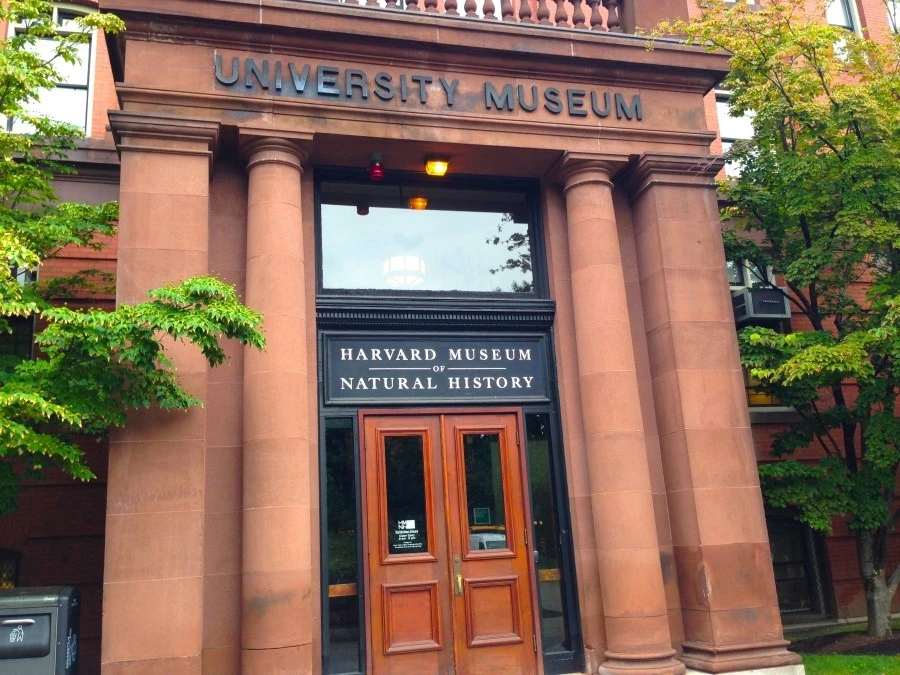 IMG_0266_2.JPG?type=w1