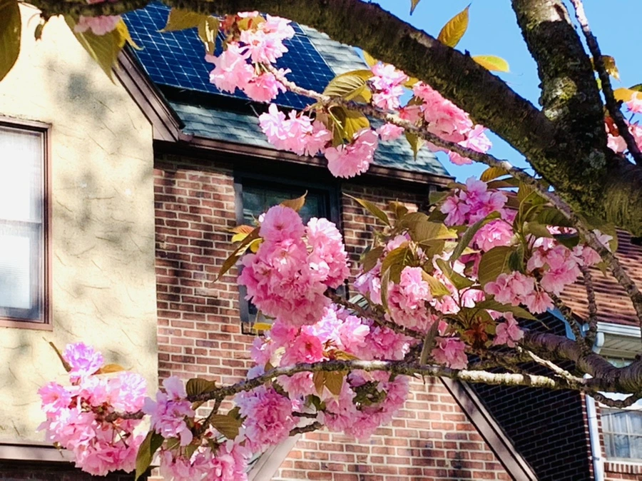 IMG_8408.jpg?type=w966