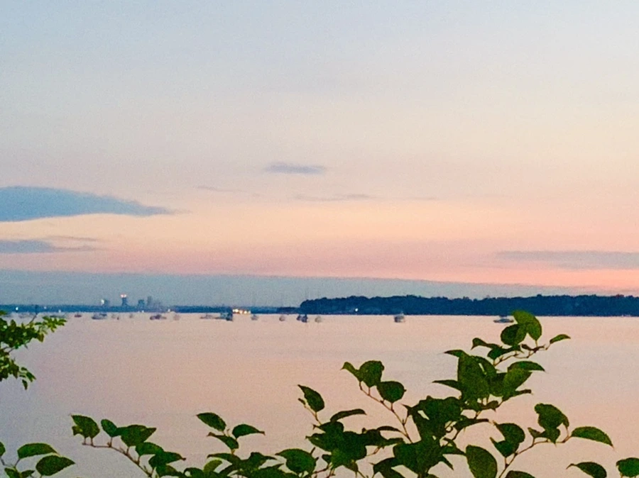 IMG_0845.jpg?type=w966