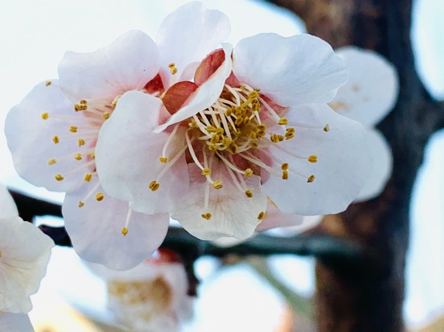 IMG_2316.jpg?type=w966