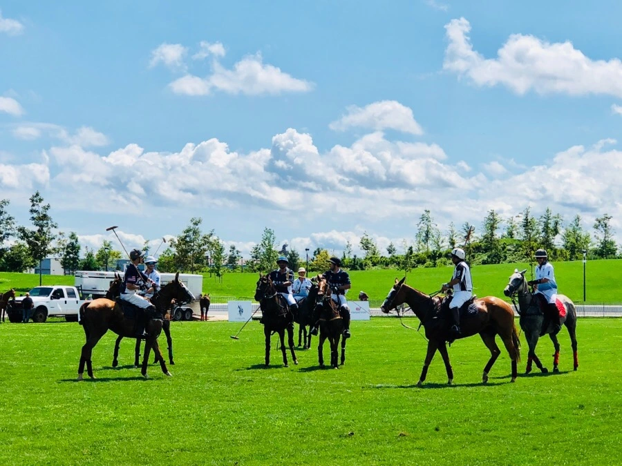 IMG_0522.jpg?type=w966