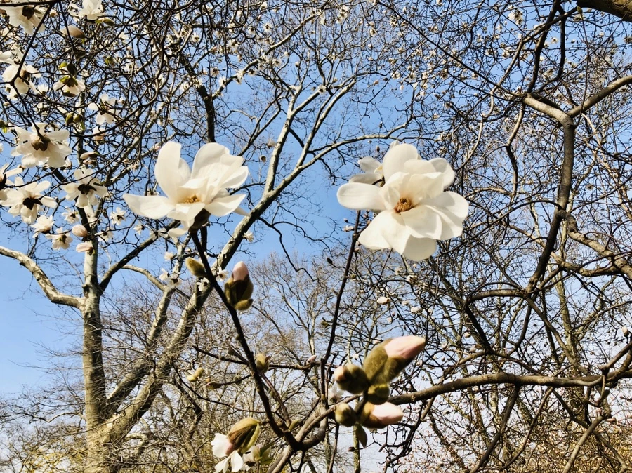 IMG_6487.jpg?type=w966