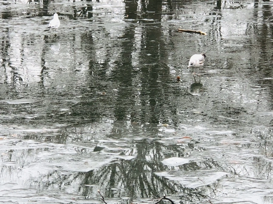 IMG_3183.jpg?type=w966