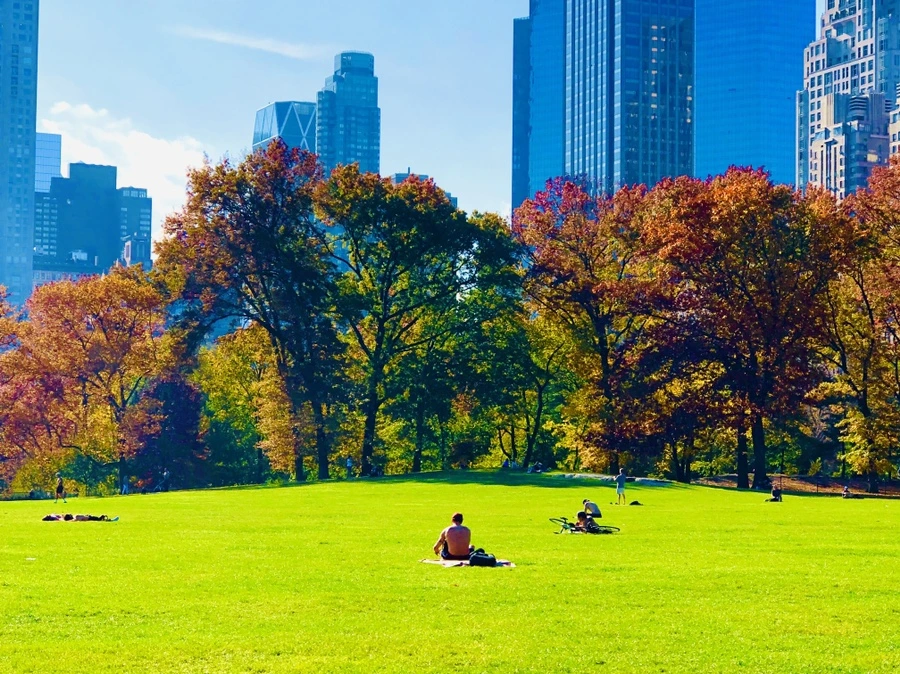 IMG_4328.jpg?type=w966