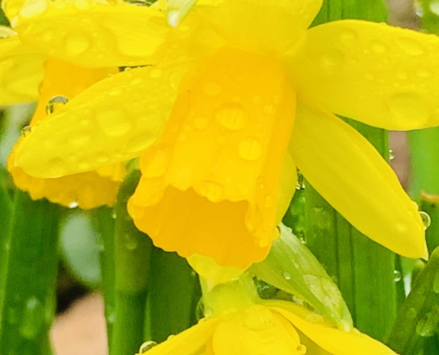 IMG_3743.jpg?type=w966