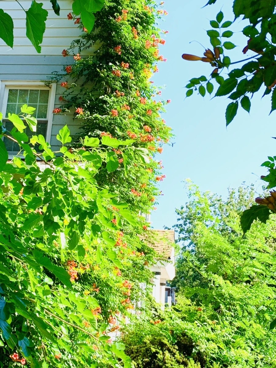 IW9K46f8kOLWDLcKcpU5wPYLwCo