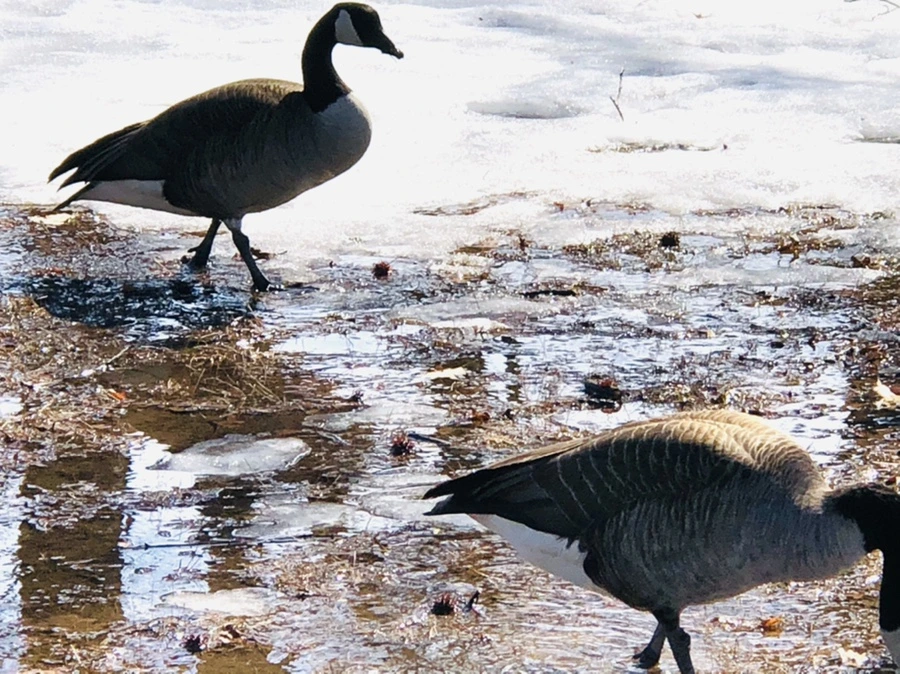 IMG_4643.jpg?type=w966