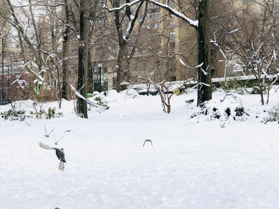 IMG_9137.jpg?type=w966